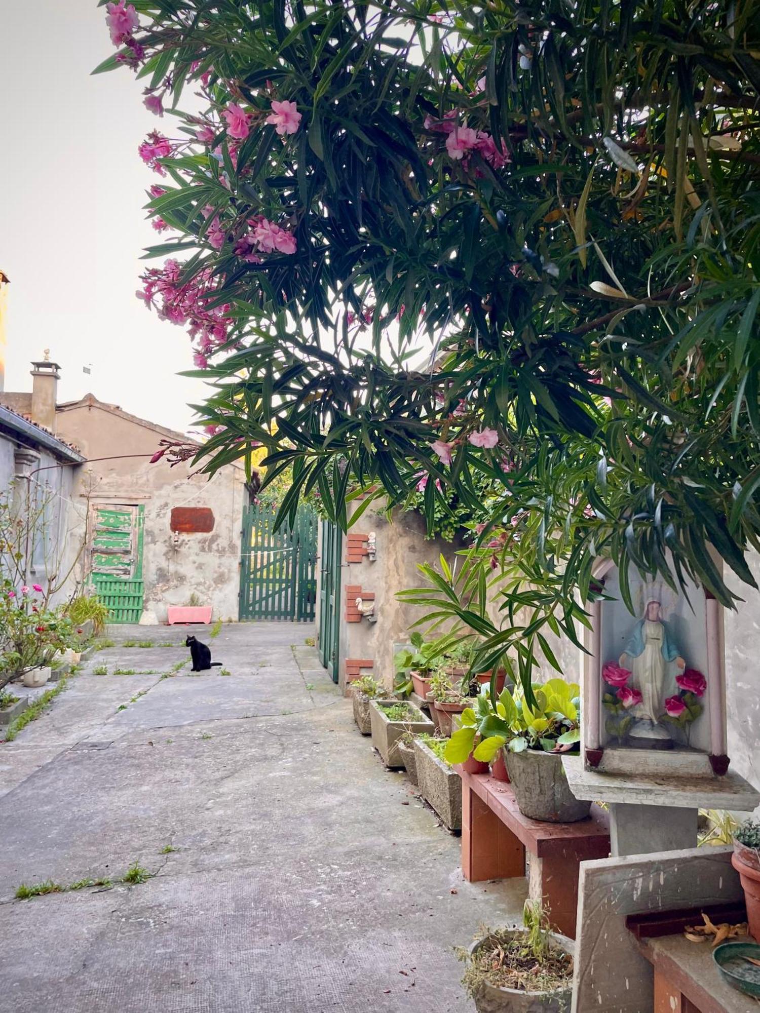 L'Encanto De Luna -Una Casa Autentica Comacchiese Comacchio Luaran gambar